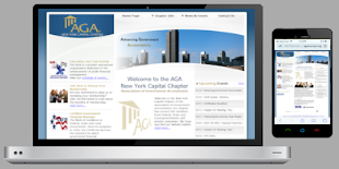 AGA - New York Capital Chapter Association of Government Accountants