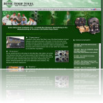 Website Design in CNY Number 5