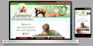 Apple Tree Farm Labradors Home of the Fox Red Labrador