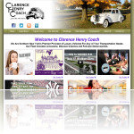 Website Design in CNY Number 18