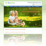 Website Design in CNY Number 52